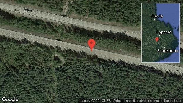 Rådjur på vägen på E18