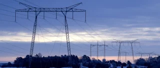 Ygeman vill snabba på tillstånd för elnät