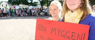 Myggplågan tillbaka i Gysinge