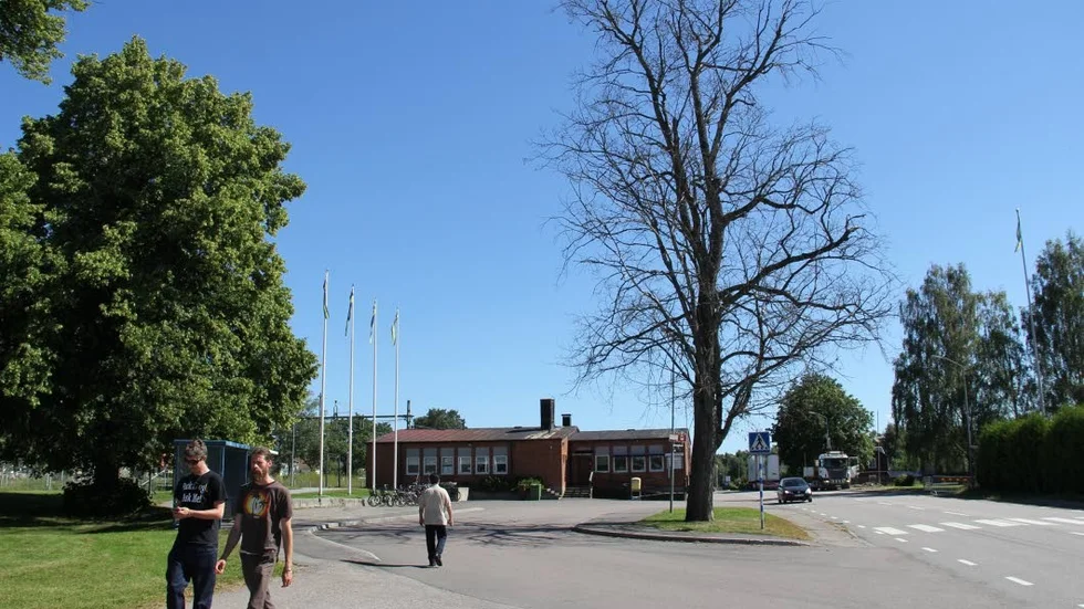 Den gamla linden är död och bordegenast tas ner, anser man i Morgongåva.