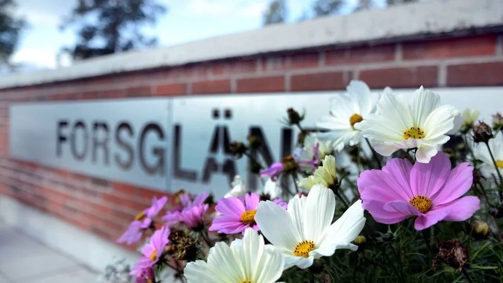 Provtagningar på Forsgläntans äldreboende visar på förhöjda värden av legionellabakterier.