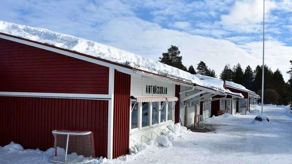 Antnässkolan var en av Luleåskolorna som i vintras fick problem på grund av den tunga snön. En inventering av kommunens fastigheter visar att behovet att reparera och åtgärda problem i fastigheterna uppgår till i storleksordningen 21 miljoner kronor.