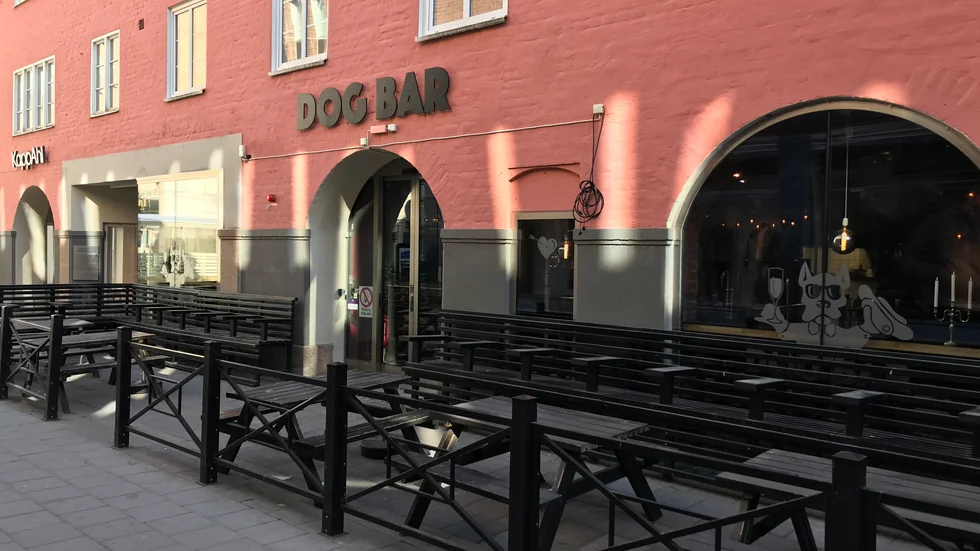 Sedan hösten 2017 har Dog bar funnits på S:t Persgatan i centrala Uppsala.