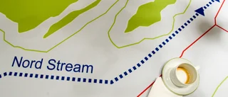 Dyrt att koppla loss från ryskt energiberoende