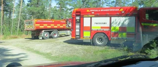 Skogsbränderna äntligen släckta