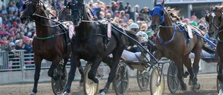 Just nu: Dags för Elitloppet