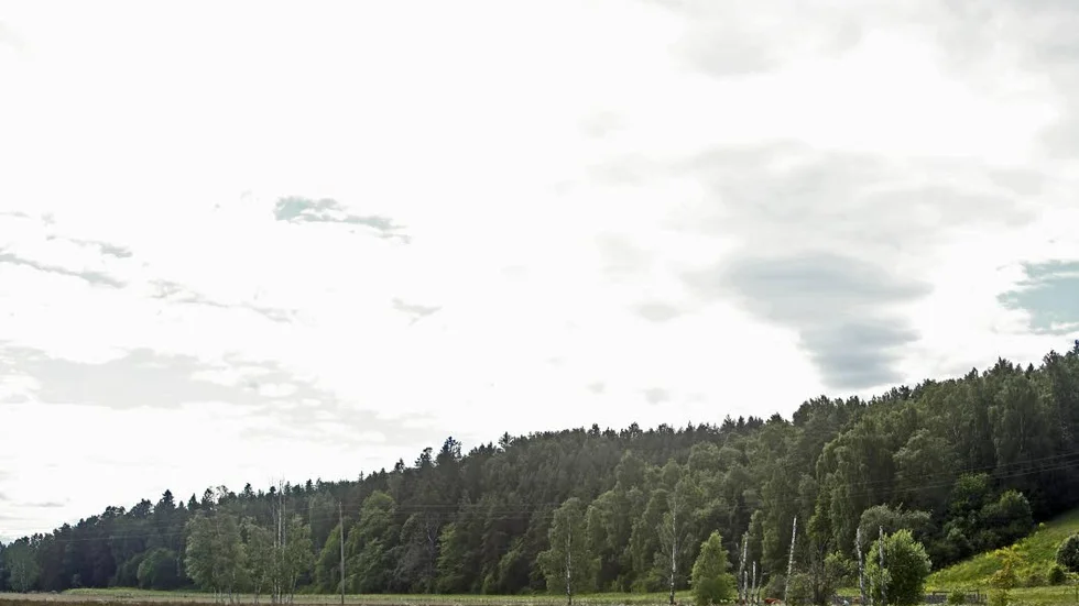 En räddare. På många håll i landet är det vattenbrist. I Enköping räddar Enköpingåsen kommunens vattenförsörjning just nu.