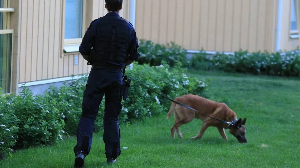 Skott avlossades på Kvarngärdet på måndagen.