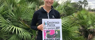 Ett succéartat debutår