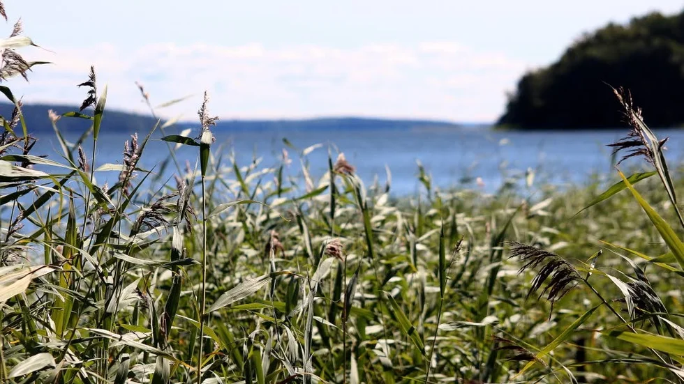 Nära vattnet. Att bygga strandnära har en dragningskraft.