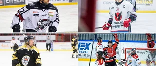 Hockeyettan nobbar serieutredningen: "Undermåligt"