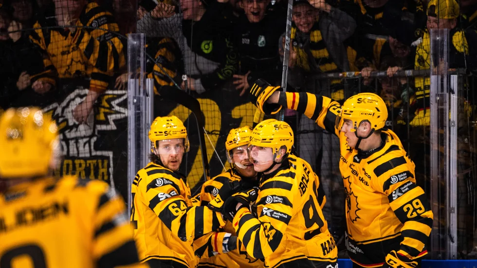 Skellefteå AIK fick måljubla framför de tillresta supportrarna när Linus Karlsson reducerade i andra perioden.
