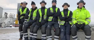 TV: "Här lägger vi hundar och vapen"