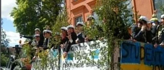 Traditionella flaken dominerade