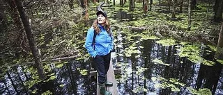 Lunsen tros ha blivit myggparadis