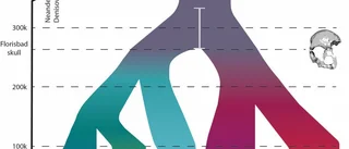 Tidig start för Homo sapiens