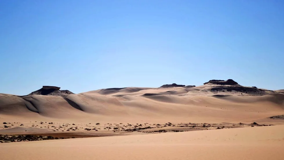 Sahara i dag. För 6000 år sedan var denna öken en savann med rikt djurliv. Bild från Egypten.
