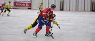Vinst för förstärkt Unik