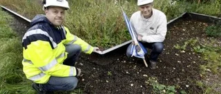 Staket skyddar salamandrar i Gränby