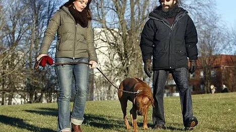 Jamshid Fatehi och Jarmila Nahalkova såg fram mot hundutställningen i Tallinn. Men när färjebolaget krävde att Bahiya ska vara inburad under resans 18 timmar stannar man hemma istället.