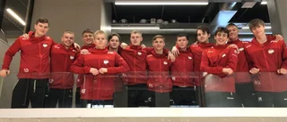 Handbolls-SM kommer till Linköping: "Stort jubel" 