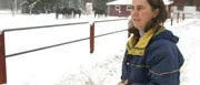 Hästar rymde från hage