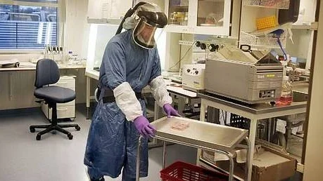 Vid undersökning av fåglar och prover som kan tänkas innehålla H5N1-virus råder stränga säkerhetskrav. Siamak Zohari bär särskilda skyddskläder när han arbetar i biosäkerhetslaboratoriet vid Statens veterinärmedicinska anstalt.