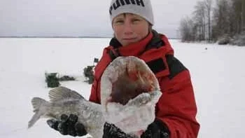 Marcus Svanström, 13 år, drog uppp den här bjässen och två mindre gäddor ur Tämnaren.
