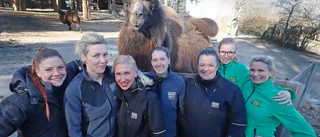 Parken Zoo gör mångmiljonvinst fem år efter köpet – har fått varje kund att spendera mer