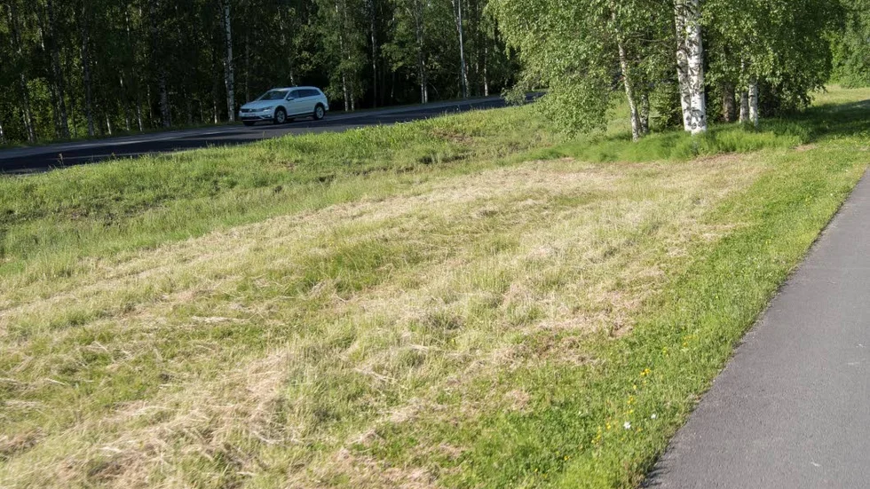 Att växtligheten hålls nere är enligt Luleå kommun en trafiksäkerhetsfråga, menar Patrik Ruumensaari, på gatudriften, Luleå kommun.