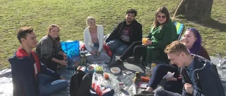 Champagnefrukost igång i solskenet