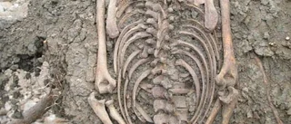Hälften invandrare i vikingatida Sigtuna