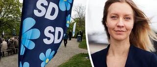 Så här tänker de som röstar på SD