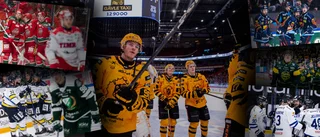 Hyllningskör efter häftiga veckan: ”Saknar motstycke i SHL”