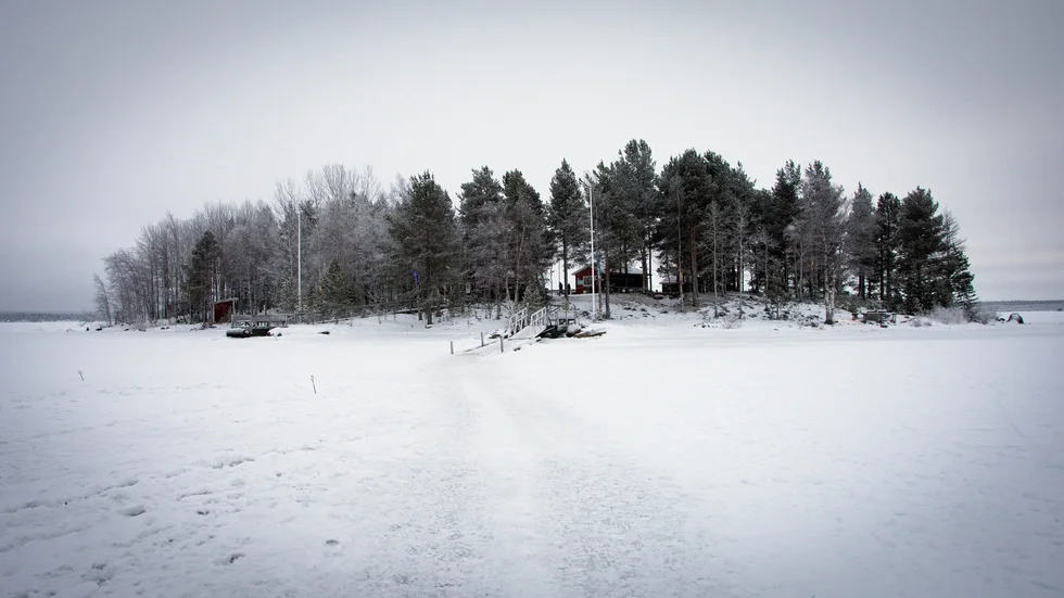 Gråsjälören.