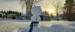 Läsarbild: Förvirrande vinter 