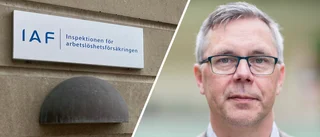 Utredningen sågas: Har använt osanna uppgifter