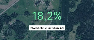 Stockholms Hästklinik AB: Här är de viktigaste siffrorna