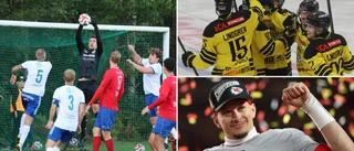 Allvin & Lidesjö tycker till: "Kan vara skönt med ett break"