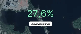 Log Arvidsjaur AB: Redovisningen klar – så gick det i fjol