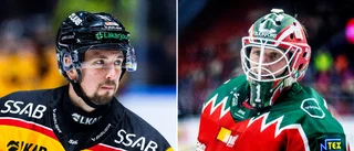 Missen släckte hoppet: ”Då finns det ingen chans att rädda den”