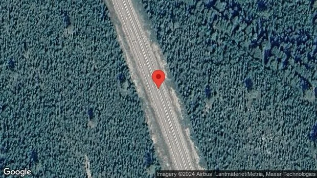 Älgar på vägen kan skapa fara på E4