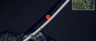 Trafikverket varnar för hund på vägen på väg 55