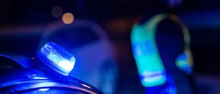 Viltolyckor och fylleri – så var natten mot lördag för polisen