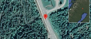 Varnar för älgar på vägen på E10