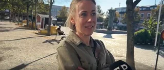 Högskoleprov väntar: Vet du vad autodidakt betyder?