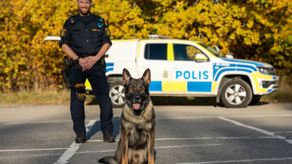 Årets polishund Hank med hundförare Johan Ericsson.