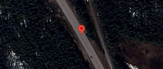 Renar på vägen kan skapa fara på E4