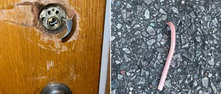 Tjuvens redskap: Plastbit från en kratta 