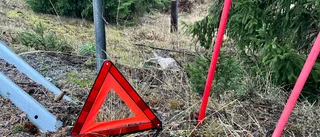 Trafikolycka på väg 55 nära Sköldinge – körde på djur